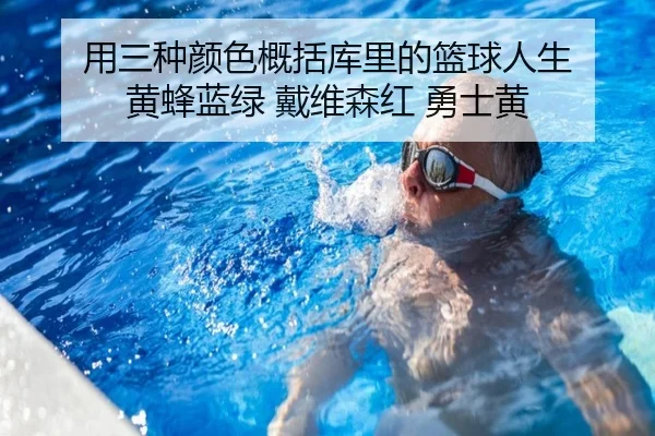 用三种颜色概括库里的篮球人生 黄蜂蓝绿 戴维森红 勇士黄